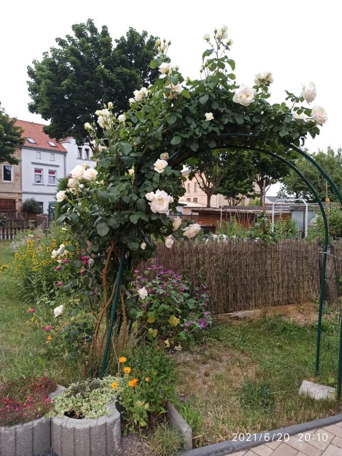 Ferienwohnung Dreilaendertreff Zittau Exterior foto